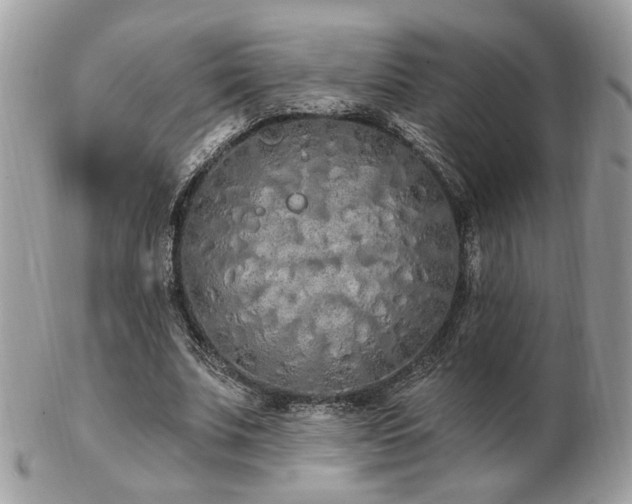 X0000103260679200808291218