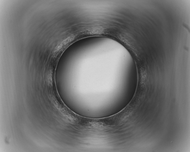 X0000103260681200808291218