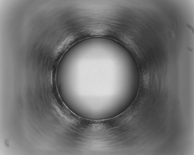 X0000103260686200808291218