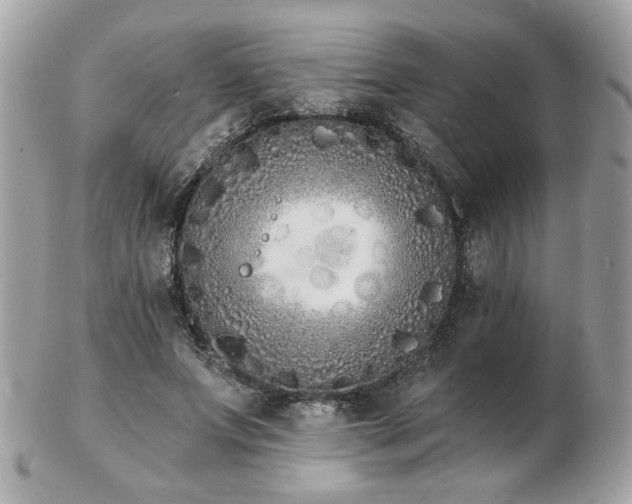 X0000103260687200808291218