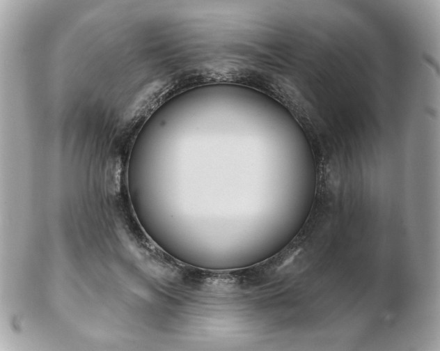 X0000103260694200808291218