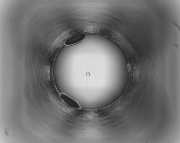 X0000103260696200808291218