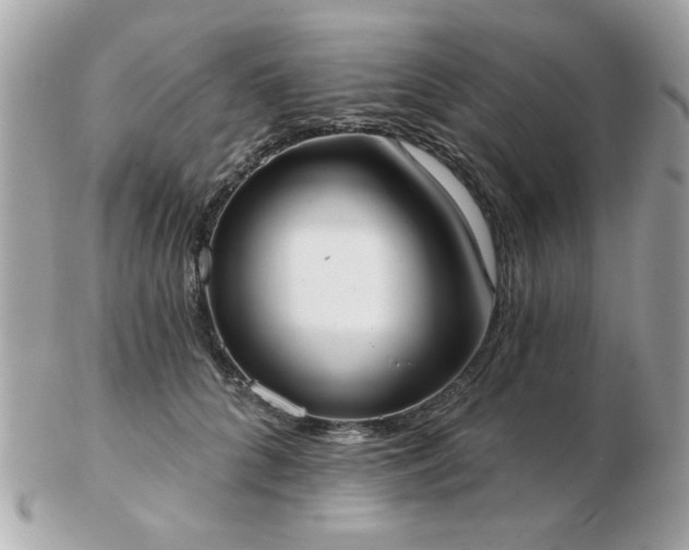 X0000103260704200808291218