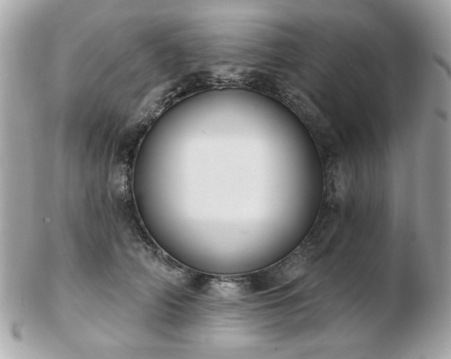 X0000103260706200808291218