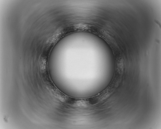 X0000103260708200808291218