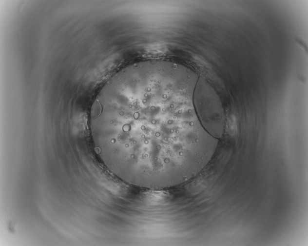 X0000103260711200808291218