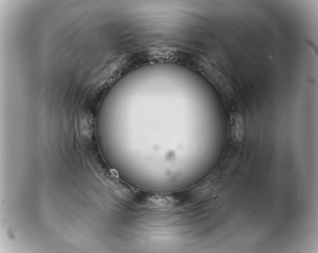 X0000103260712200808291218