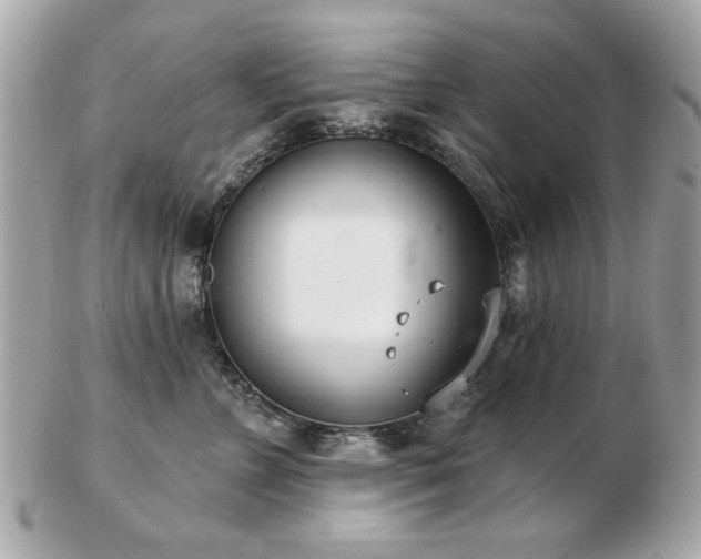 X0000103260715200808291218