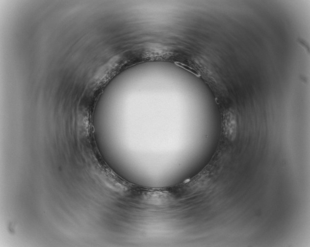 X0000103260716200808291218