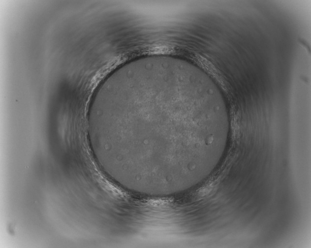 X0000103260721200808291217