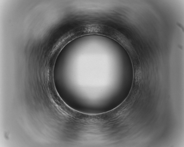 X0000103260722200808291217