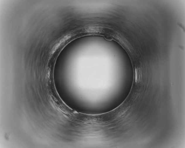 X0000103260723200808291217