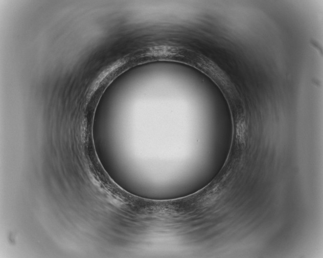 X0000103260724200808291217