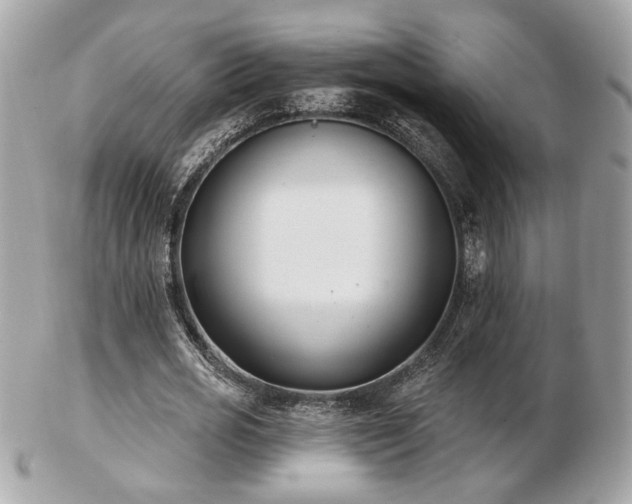 X0000103260725200808291217