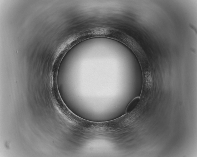 X0000103260726200808291217