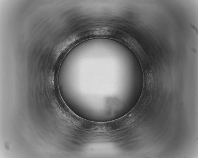 X0000103260727200808291217