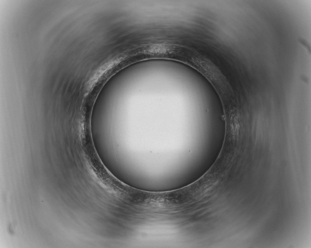 X0000103260728200808291217