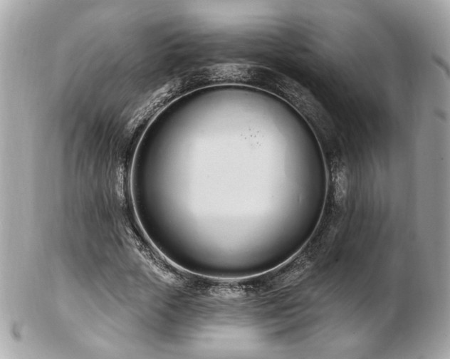 X0000103260729200808291217