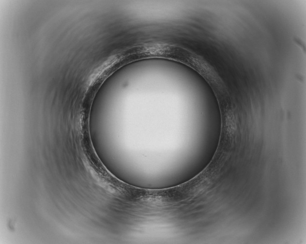 X0000103260730200808291217