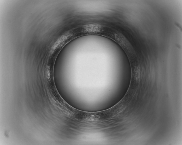 X0000103260731200808291217