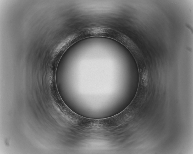 X0000103260732200808291217