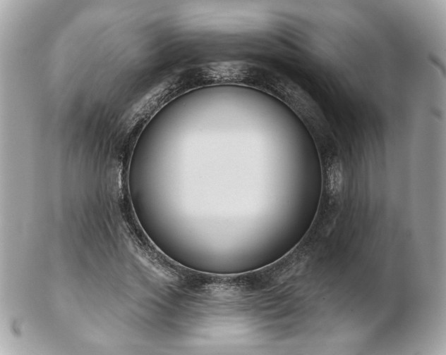 X0000103260733200808291217