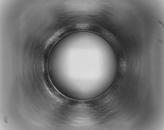 X0000103260734200808291217