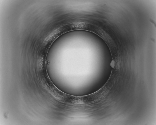 X0000103260735200808291217