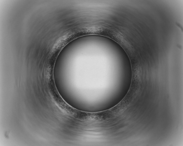 X0000103260736200808291217