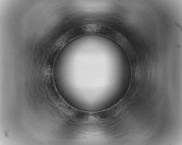 X0000103260737200808291217