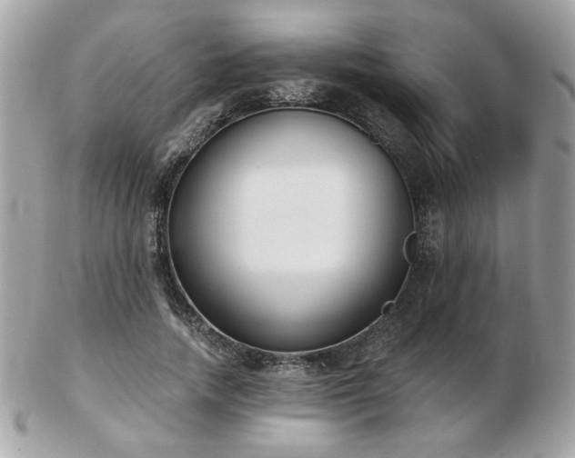 X0000103260738200808291217