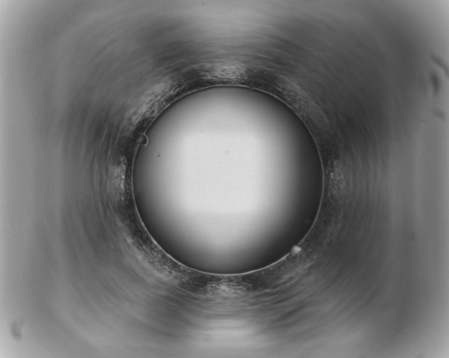 X0000103260739200808291217