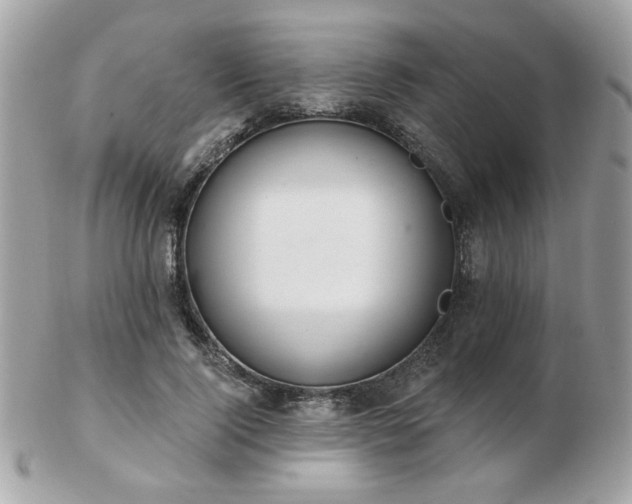 X0000103260740200808291217