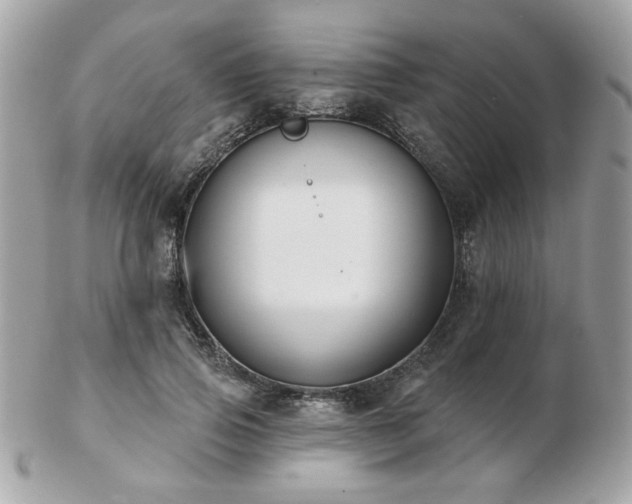 X0000103260741200808291217