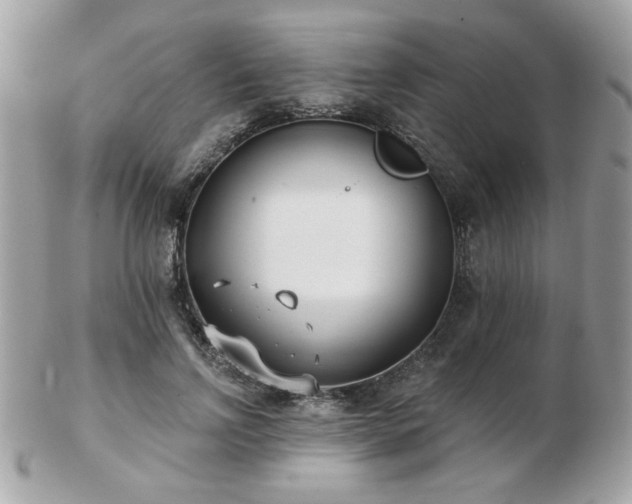 X0000103260742200808291217