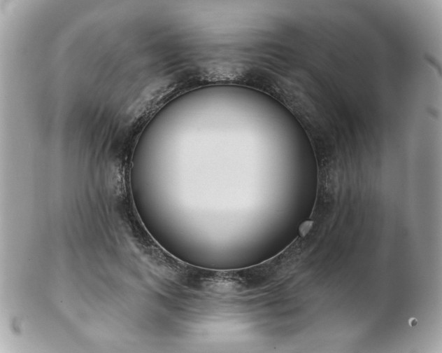 X0000103260743200808291217