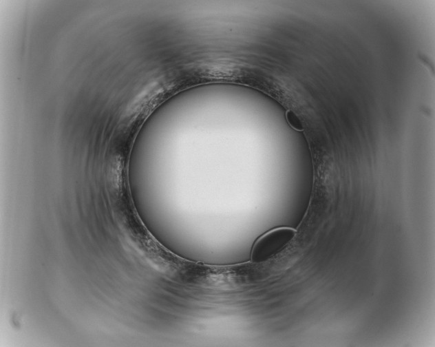 X0000103260744200808291217