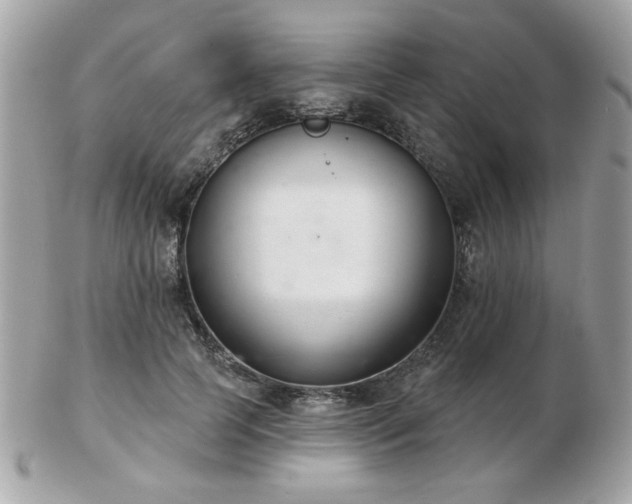 X0000103260745200808291217