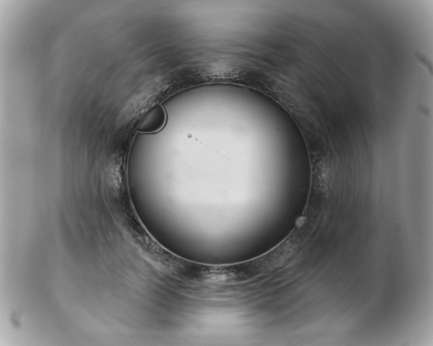 X0000103260746200808291217