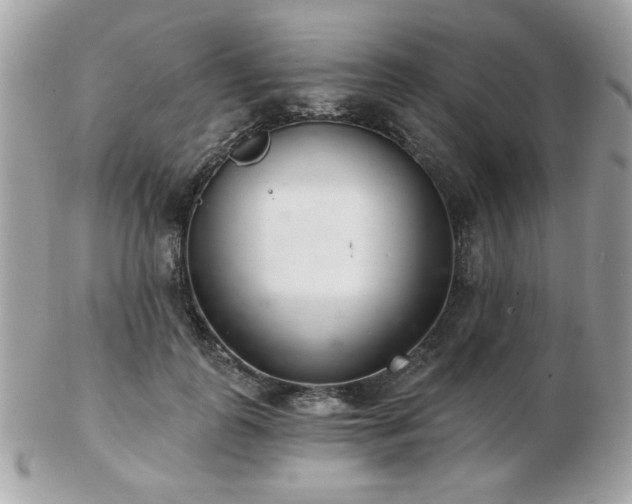 X0000103260747200808291217