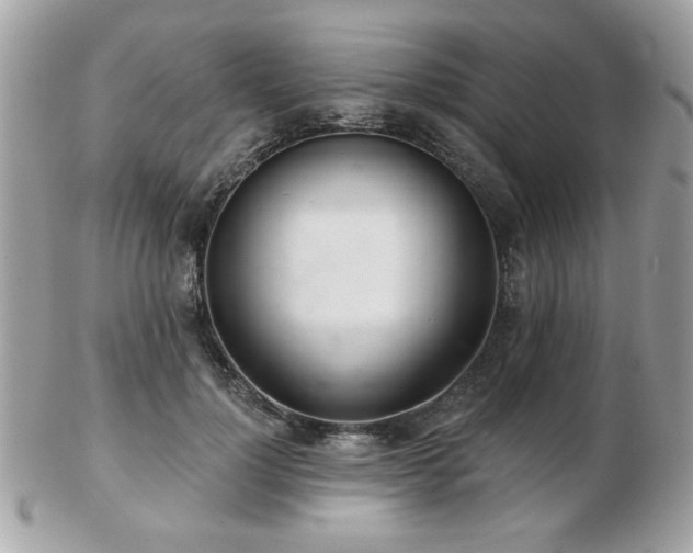 X0000103260748200808291217