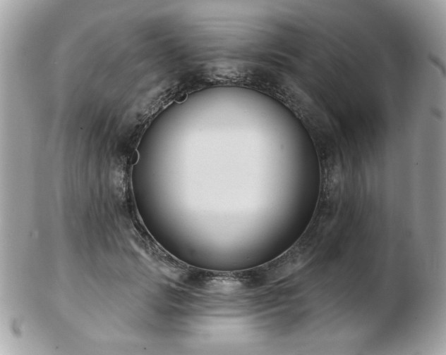 X0000103260749200808291217