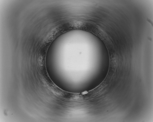 X0000103260750200808291217