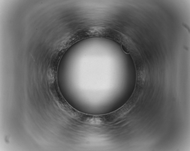 X0000103260751200808291217