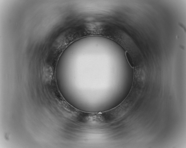 X0000103260752200808291217