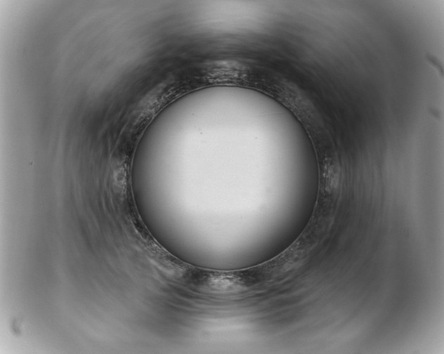 X0000103260753200808291217