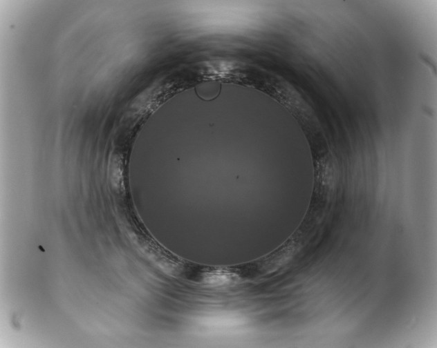 X0000103260754200808291217