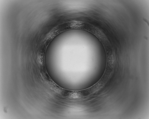 X0000103260755200808291218