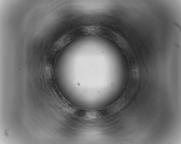 X0000103260757200808291218