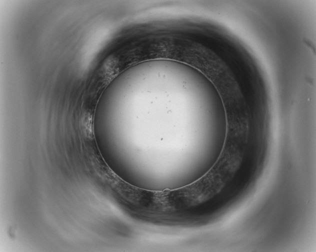 X0000103260766200808291218